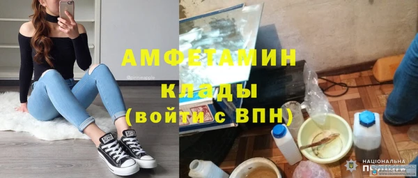 СК Алексин