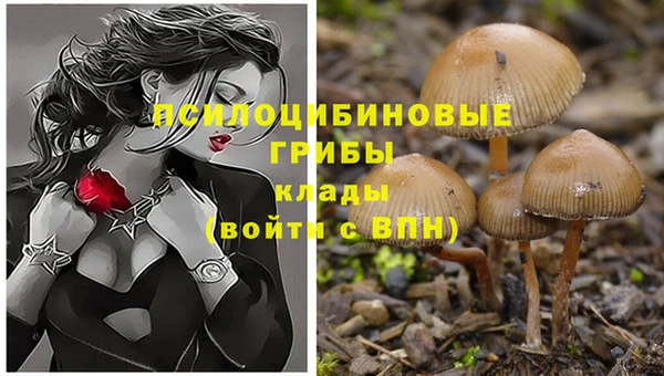 не бодяженный Арсеньев