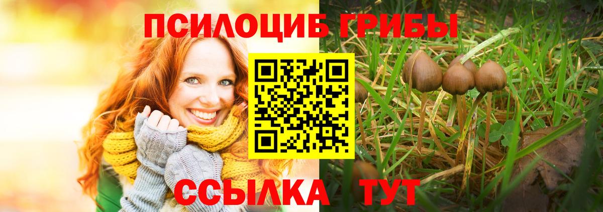 Галлюциногенные грибы ЛСД Курган