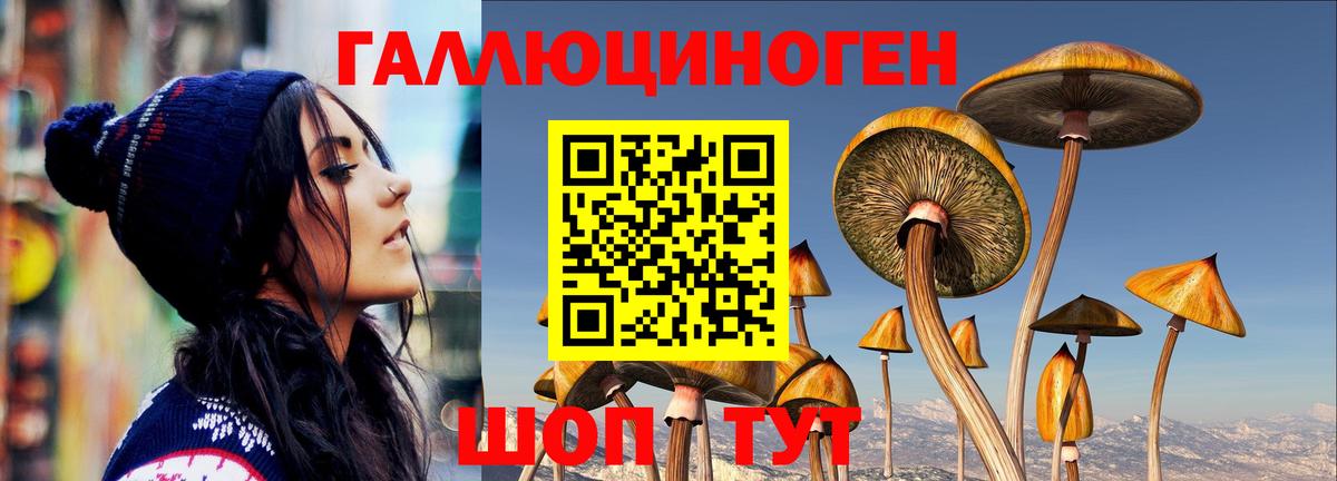 где купить наркоту  Галлюциногенные грибы Cubensis  Вход с VPN  Курган 